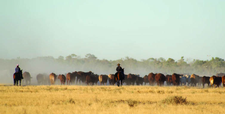 The four families in the all-Australian bid plan to maintain the operation of the S. Kidman and Company cattle business while owning separate properties in each of their four names.