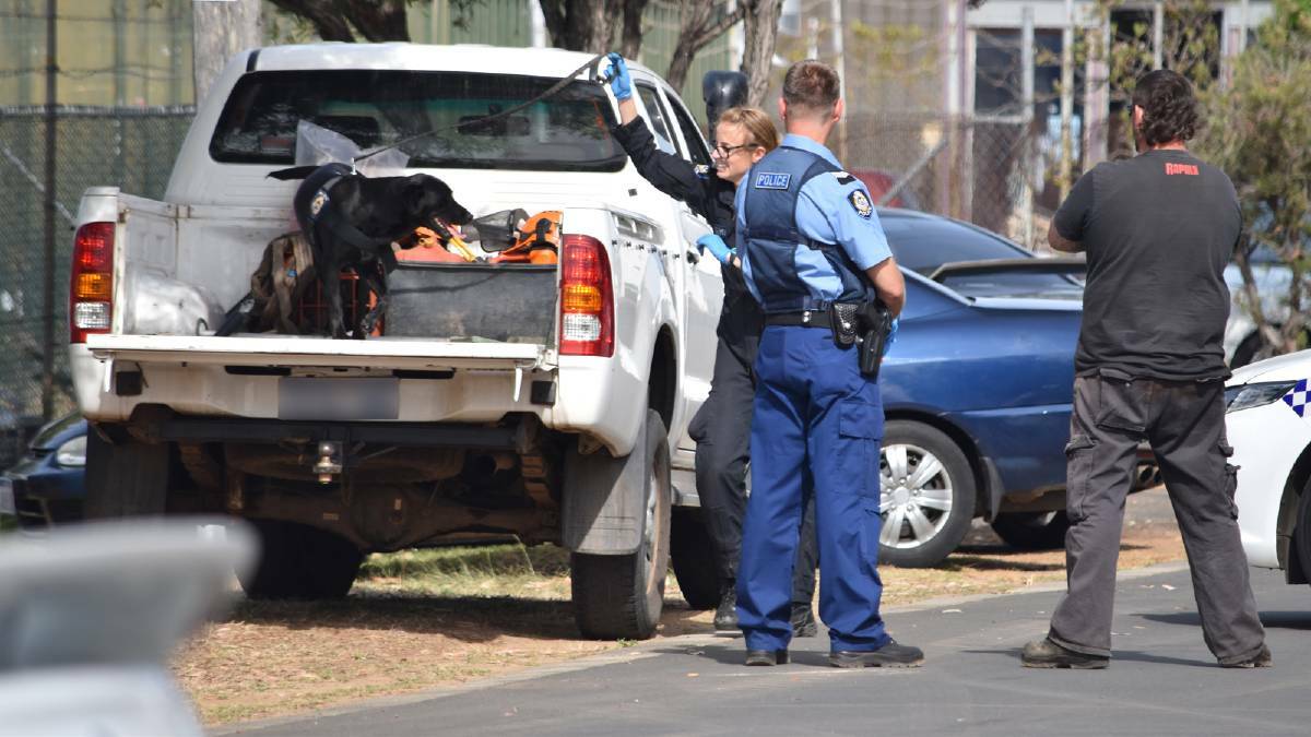 A WA Police dog searching a vehicle in Busselton for drugs in  December 2015.