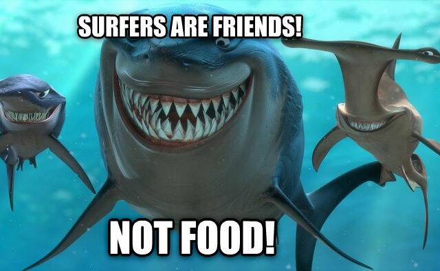 If sharks had morals, what do you think they would say to humans?  Photo: Disney Pixar.
