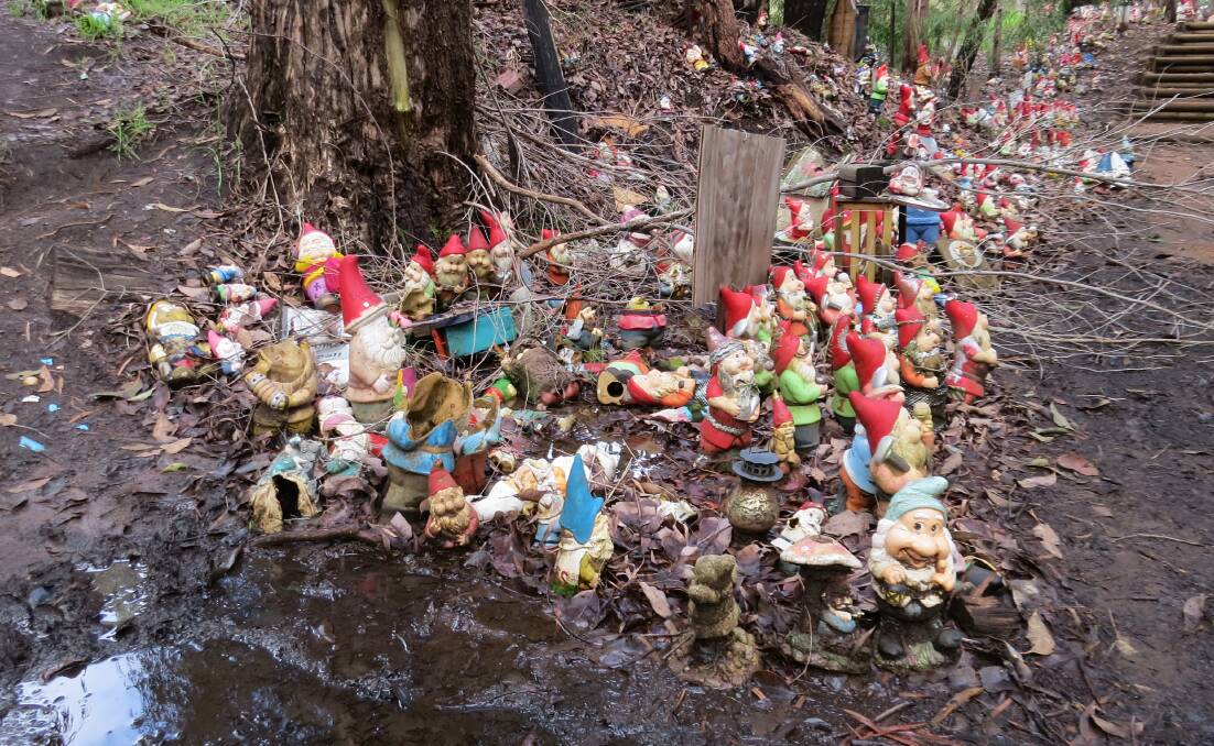 Undermanaged: An example of a patch at Gnomesville. Some of the gnomes have fallen over, some are broken, and some are covered in mud. Photo: Matthew Lau
