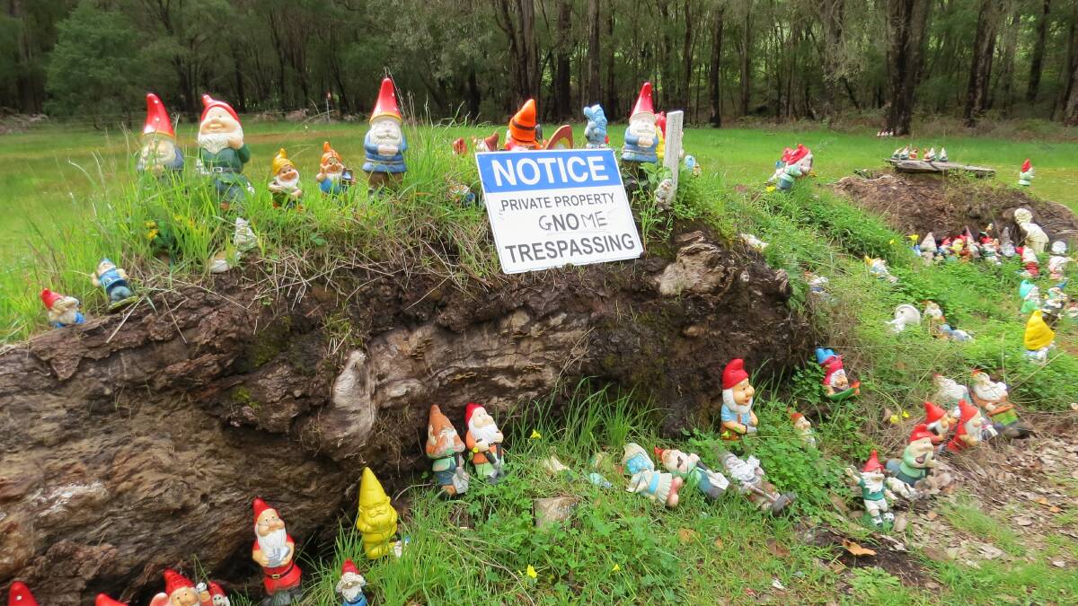 Gnomesville reaching its potential?