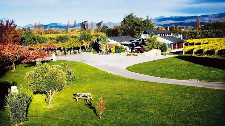 A Forrest winery in New Zealand. Photo: Supplied
