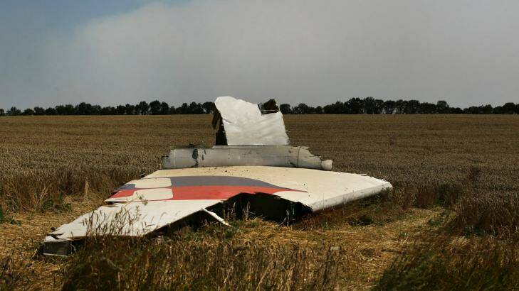 A portion of the MH17 wing lies in a field. Photo: Kate Geraghty