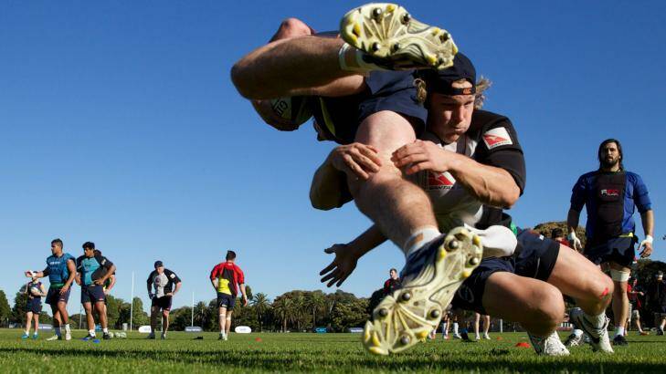 Big task: Waratahs players put in the hard work ahead of the Super Rugby final. Photo: Wolter Peeters