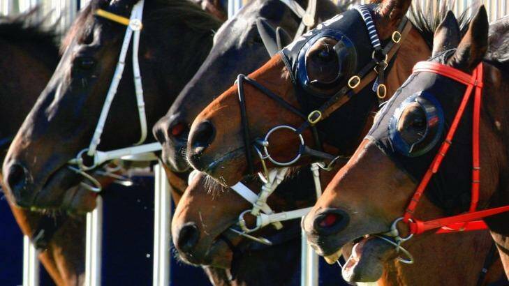 Unprecedented coverage: Racing NSW boss Peter V'landys says a deal with Tabcorp and Sky would be "mutually beneficial for both parties". Photo: Jenny Evans