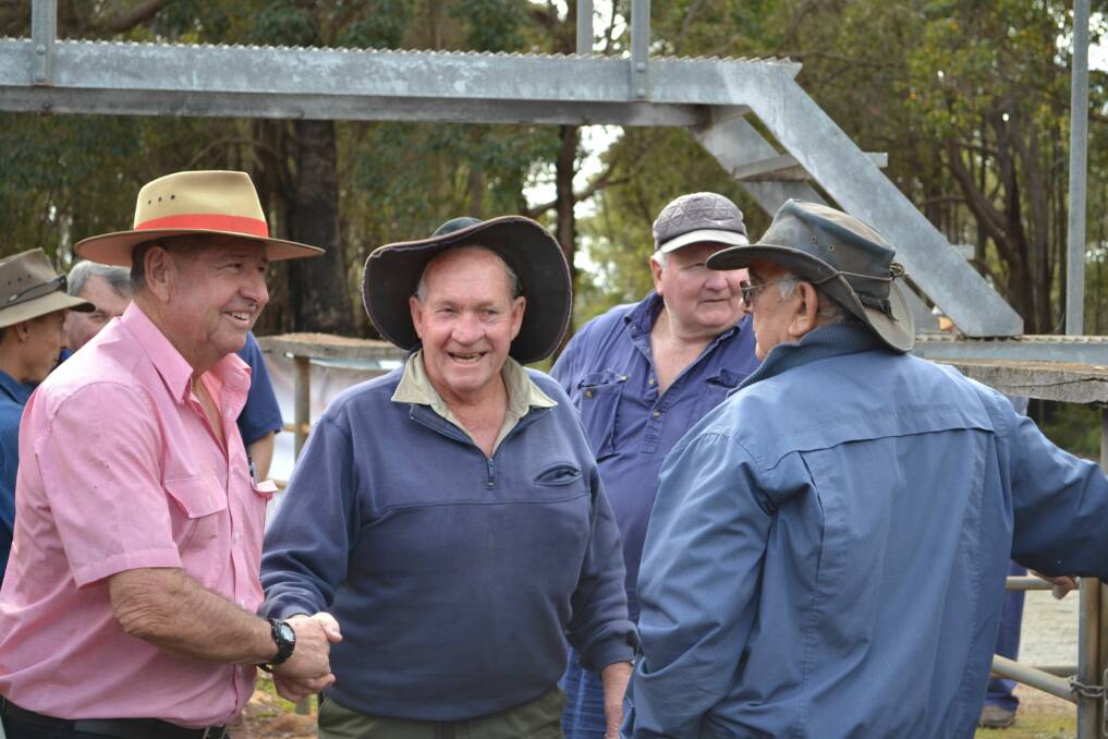 Cattle catch-up: Farmers enjoy a sociable day at the Margaret River saleyards.                                 Photos: Anthony Pancia