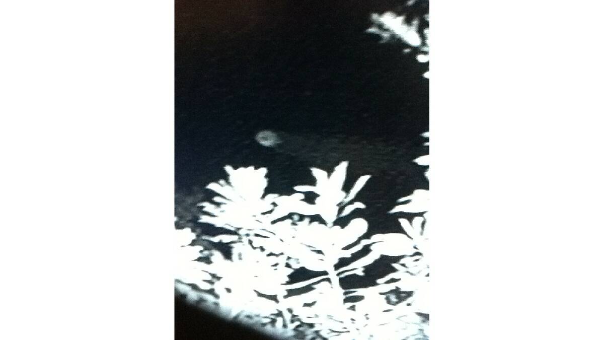 Bridgetown resident John Thorpe discovered a mysterious object captured on security cameras.