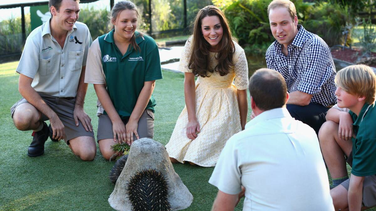 Catherine, Duchess of Cambridge and Prince William, Duke of Cambridge, with son George visited Taronga Zoo on April 20, 2014 in Sydney, Australia. Pic: Chris Jackson/Getty Images