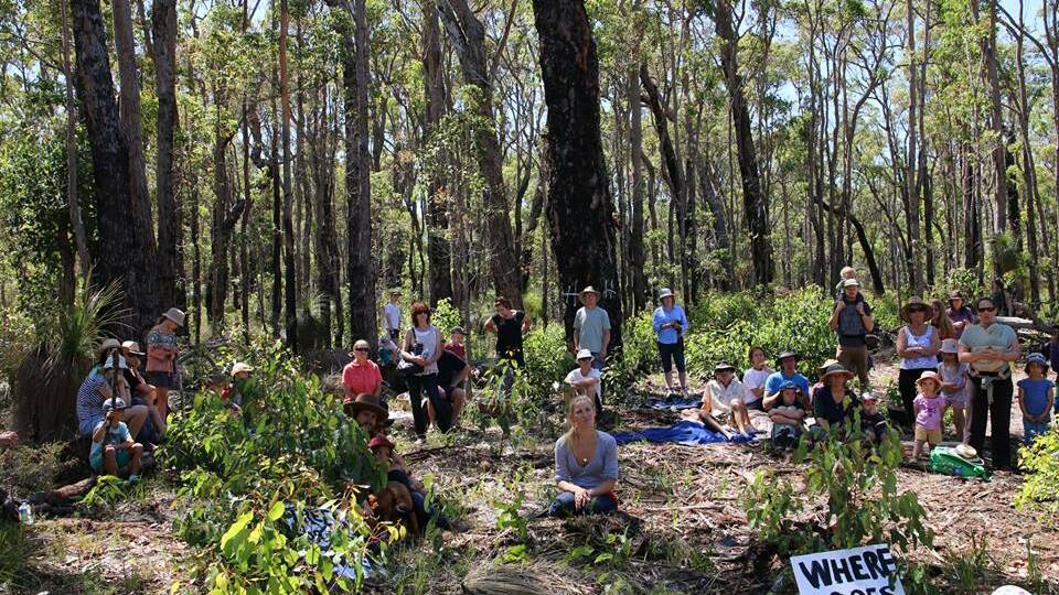 Margaret River's Save Mowen Forest group have been campaigning against the logging of the forest since November 2014.