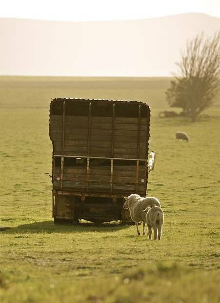 Eyre Peninsula: Farming is a way of life on the Eyre Peninsula. Photo: Toni Eldridge. 