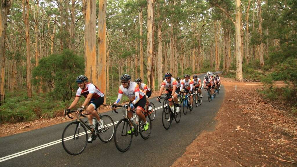 The Red Sky Riders make their way through the Boranup Forest on Day Three of the 8 day trek. 