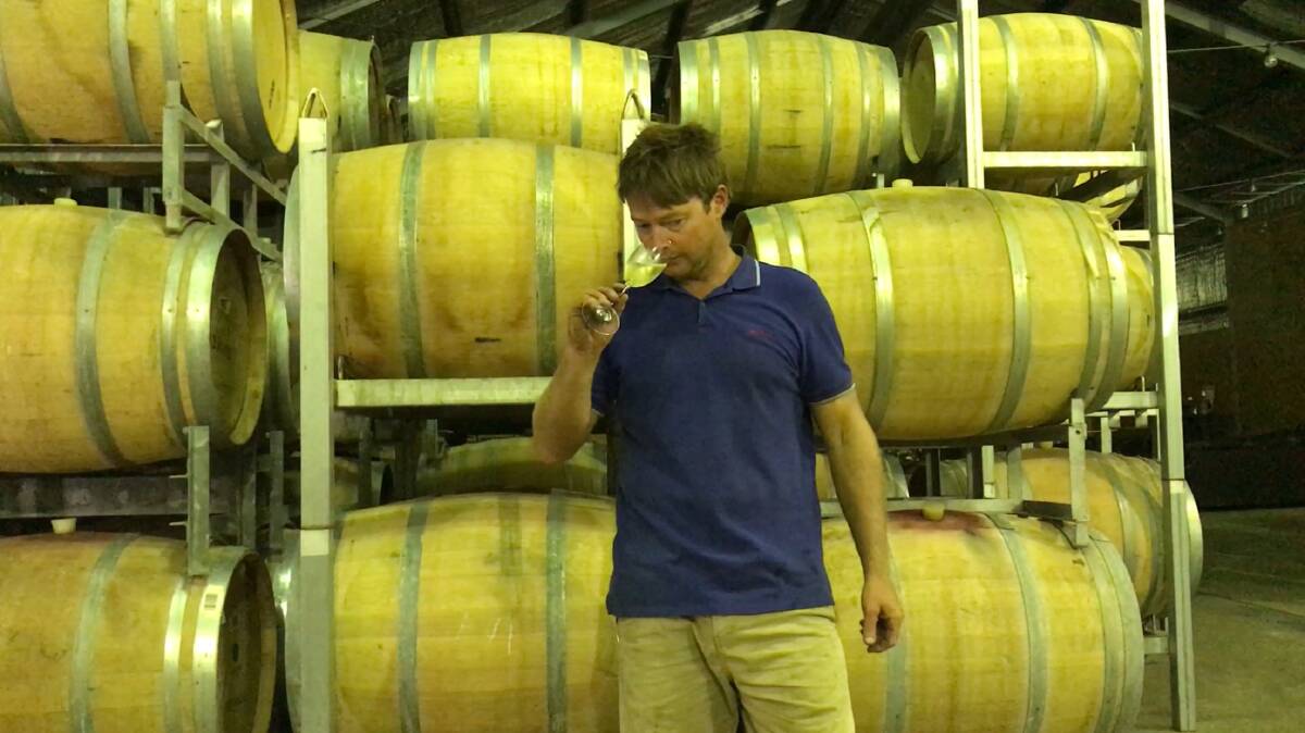 Aravina's chief winemaker Ryan Aggiss. Photo: Supplied