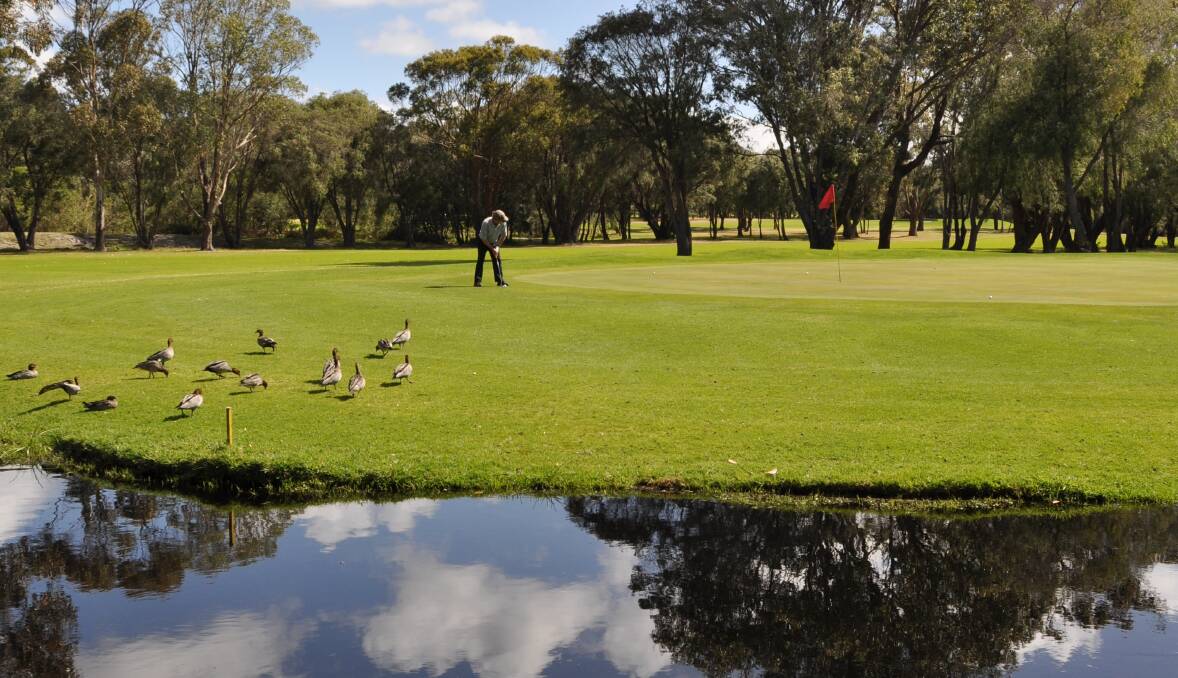 Reflections: The stunning surrounds of the Margaret River Golf Club provided perfect conditions for a year of exciting golfing action between locals and visiting players. Photo: Supplied.