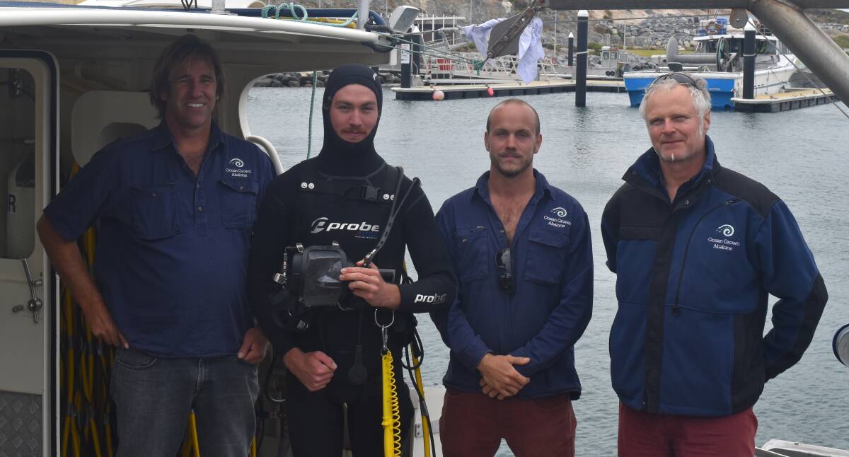 Home grown: Brad, Kyle, Mark and Steve of Ocean Grown Abalone at the Augusta Boat Harbour. Photo: James Bunting. 