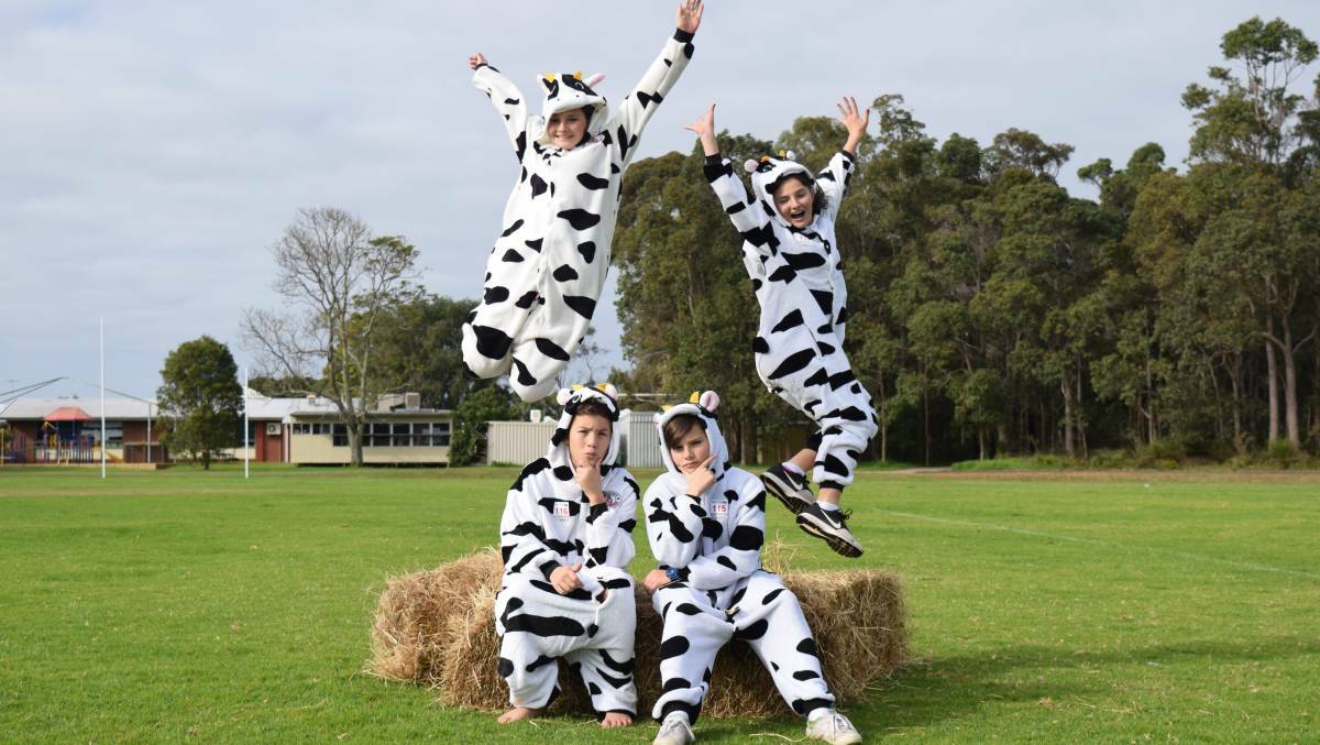 Jump for joy: The dairy town of Cowaramup has been named the WA Legendairy Capital for 2017 Photo: Supplied. 