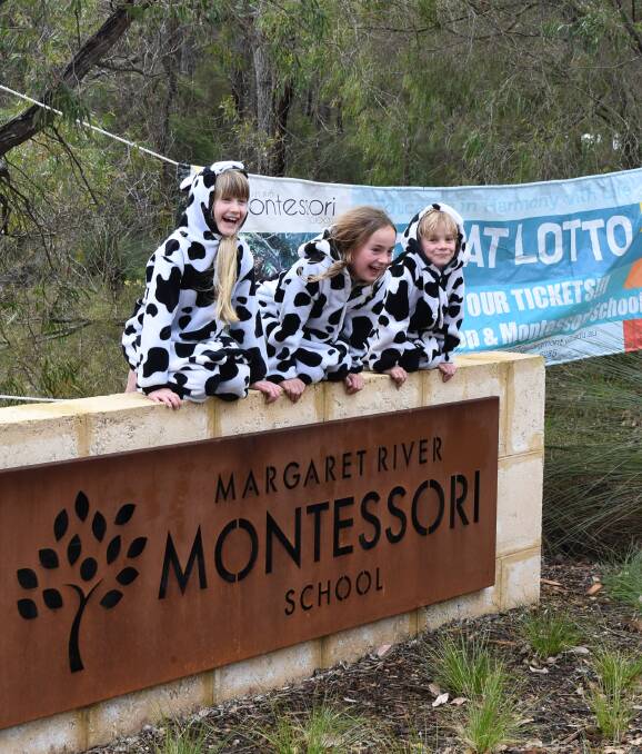 Quirky comp: A group of 'cows' get into the spirit of the Montessori School's annual cow pat lotto competition held at the Margaret River Agricultural Show. Photo: James Bunting