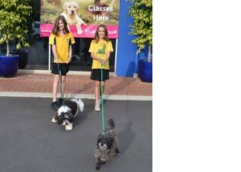 FURRY FEET: Lauren Doney, 10, and Arabelle Gibson, 9, warm up for the Million Paws Walk with dogs Harley Clarke and Suzie Gibson.