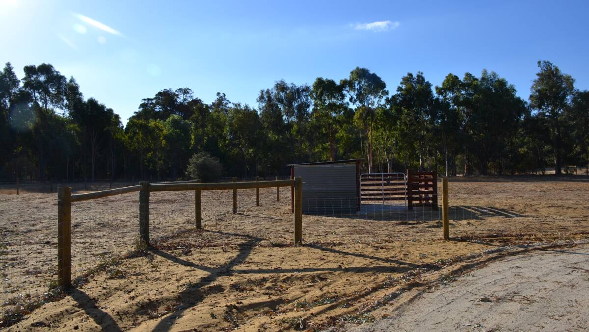 Work in progress: The new Sunflowers Animal farm is currently just empty paddocks amidst some native trees, but Mr Jones hopes to open it later this year. Picture: Brianna Melville.