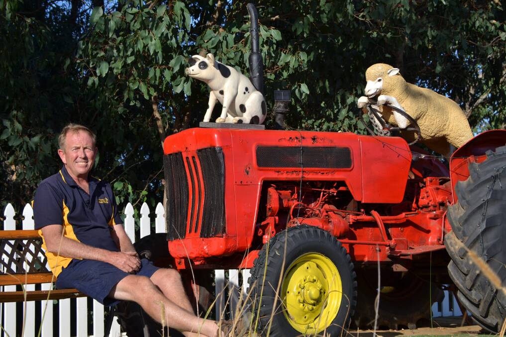 Curious sight: Farmer Steve Jones' sheep-driven tractor is already at its new spot by Bussell Highway, heading the new Sunflowers Farm property. Picture: Brianna Melville
