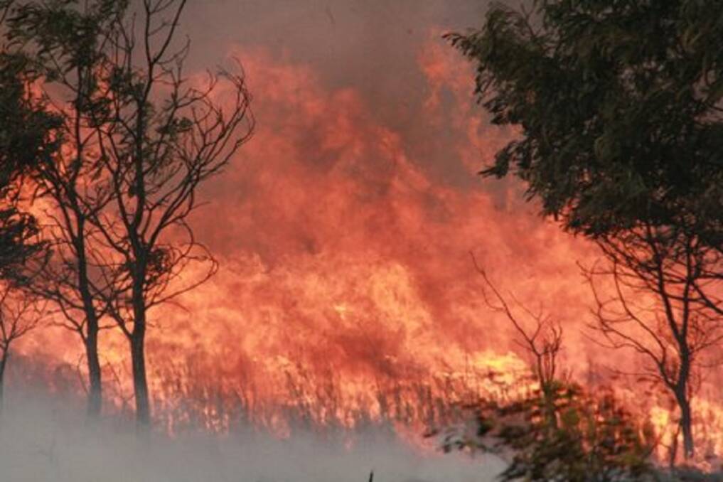 Landcare will coordinate a host of bushfire recovery projects.