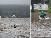 Left: Sanctuary Point Paradise Beach and boat ramp. Photo: Dannie & Matt Connolly Photography. Right: Mick Perry saved his border collies Prim and Katniss on a surfboard on Tuesday morning. Photo: supplied.