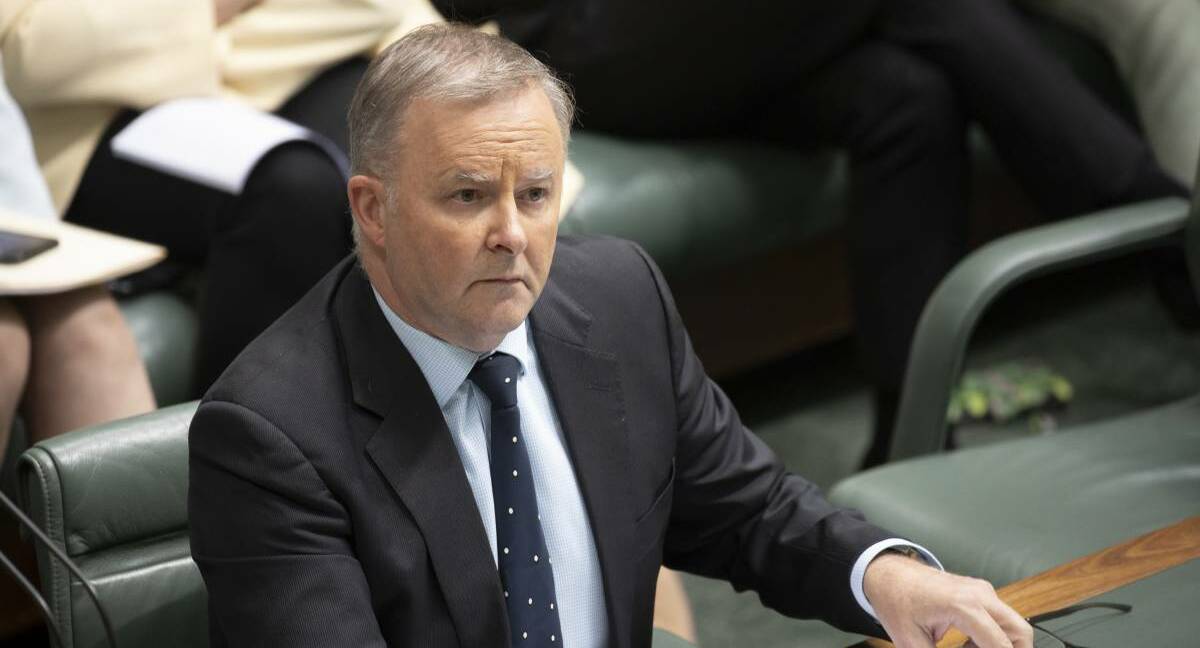 WTF: Anthony Albanese is left befuddled by my proposal to make him PM material. Picture: Sitthixay Ditthavong.