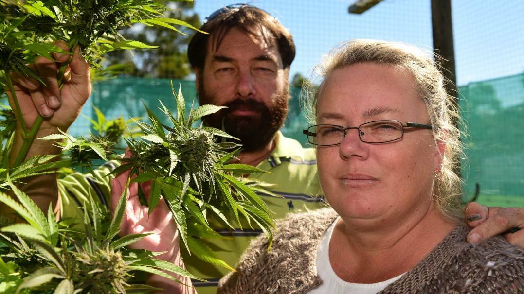 Medicinal cannabis to be sold without prescription