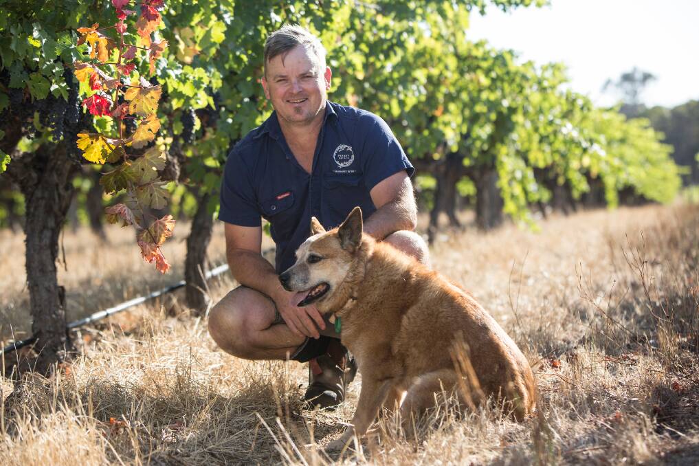 Fermoy Estate winemaker Jeremy Hodgson and Billy. Photo by Martine Perret.