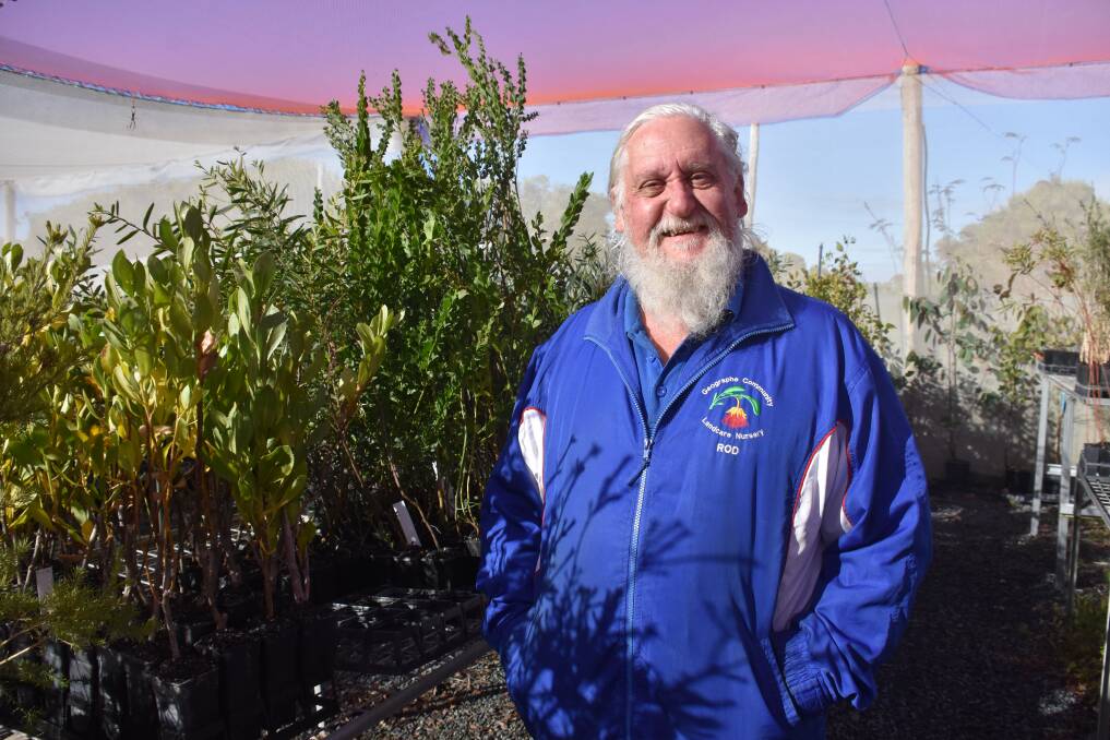Geographe Community Landcare Nursery coordinator Rod Cary will reopen the native flora nursery to retail customers on July 1, 2020.