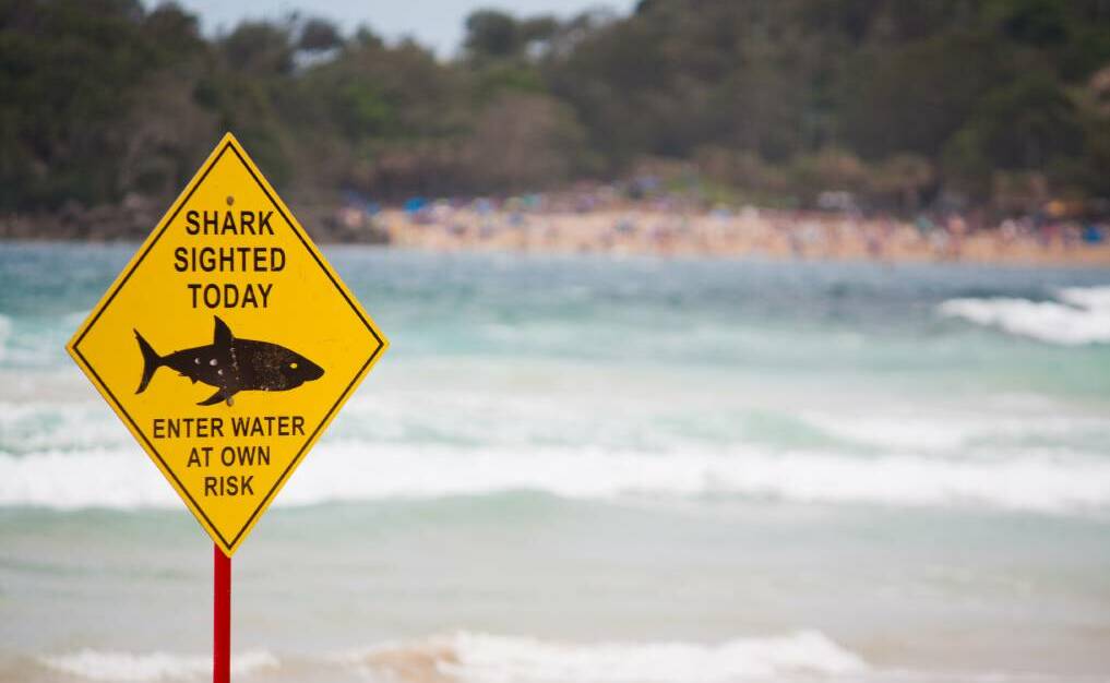 Shark advice for Guillotine surfing sport, north of Gracetown