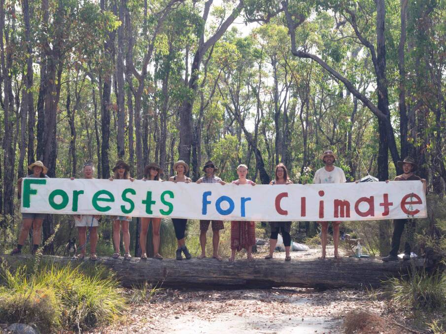 Western Australian Forest Alliance are calling for logging to stop in Helms Forest near Nannup, which is home to red-tailed, Carnabys and Baudins cockatoos.Image supplied.