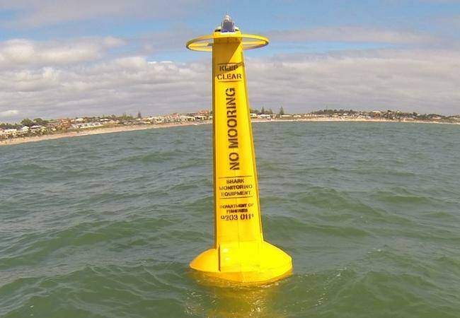 Shark Monitoring Network receiver. Image by Department of Fisheries.