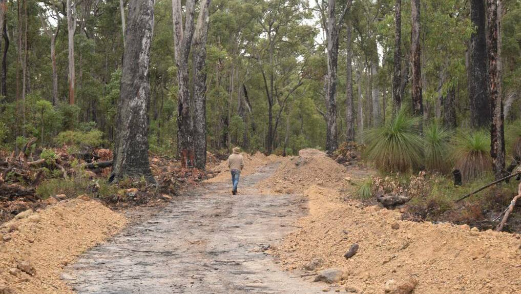 In 2017, old growth forest in Barrabup was improperly cleared to make way for roads.