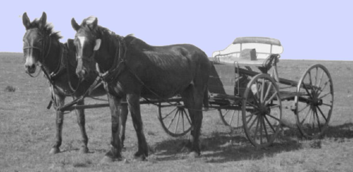 An example of WA Horses and buggy. Image supplied
