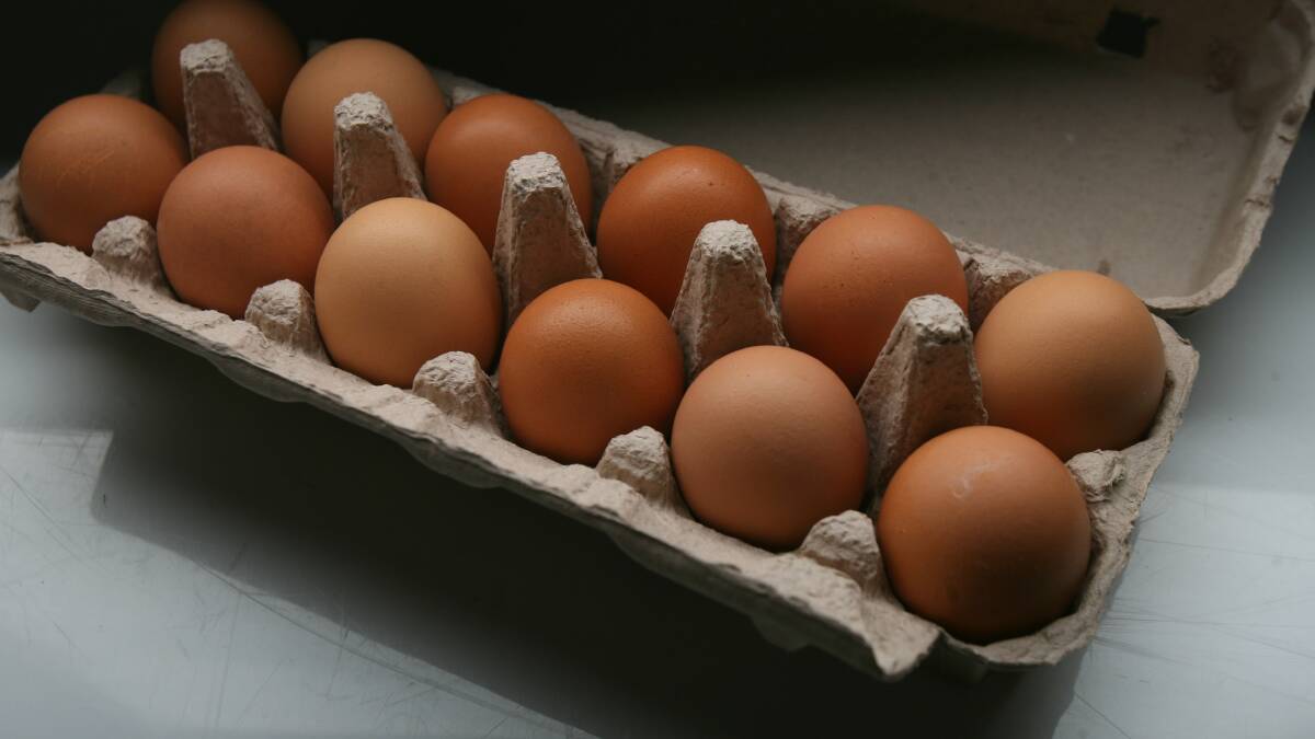 WA egg producers launch petition to investigate industry