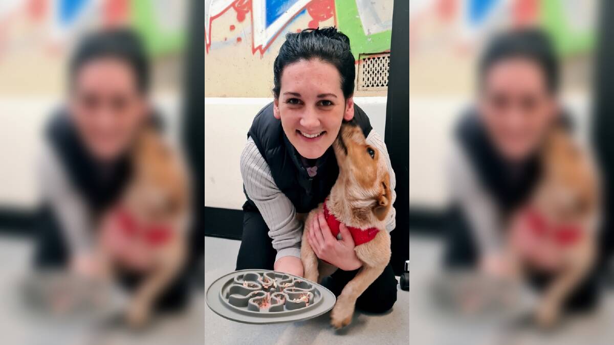 Dr Jenny Griffith, pictured with patient Millie, says all dogs have the potential for aggression and owners need to be aware of the signs. Picture: Supplied