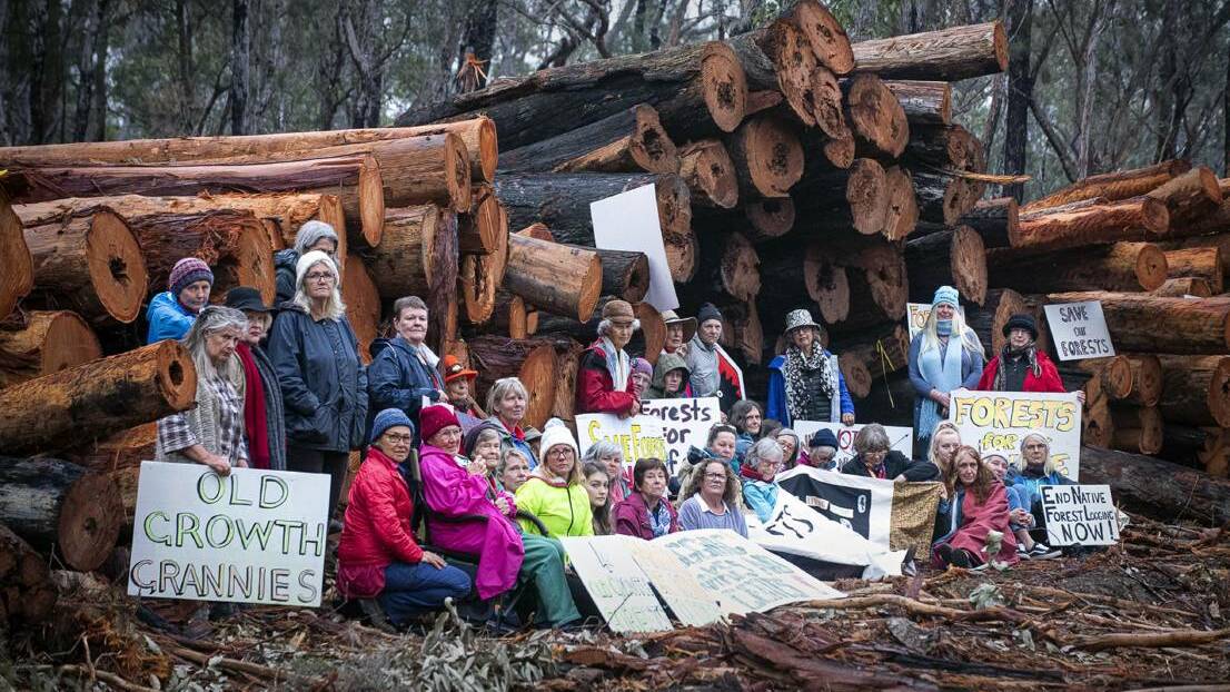 PROTEST: Nannas for Native Forests, a group of women from the Margaret River and Busselton area, at a blockade in Nannup last year. Picture: Mike Wylie.