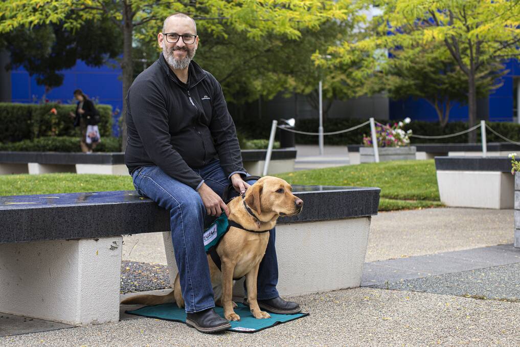 Belle the Labrador is making a difference in veteran's life