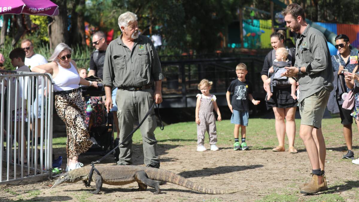 Ranger Mick has a lot of duties around the Australian Reptile Park including walking the Komodo dragon, feeding the alligators and giving educational talks. 