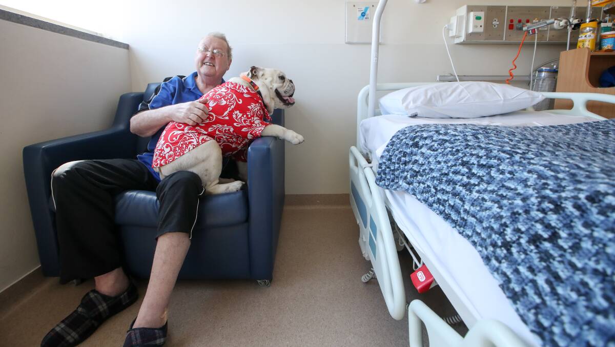 Totally pawsome: Ken Chadwick was cheered by the sight of the white bulldog in his custom-fit Hawaiian shirt.