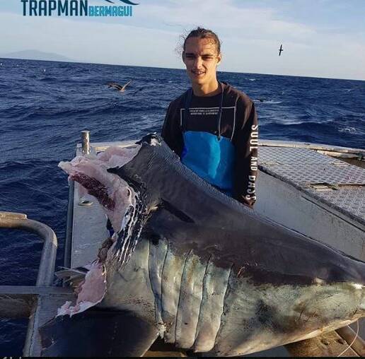 Bermagui fisherman's photo of half-eaten giant shark goes viral