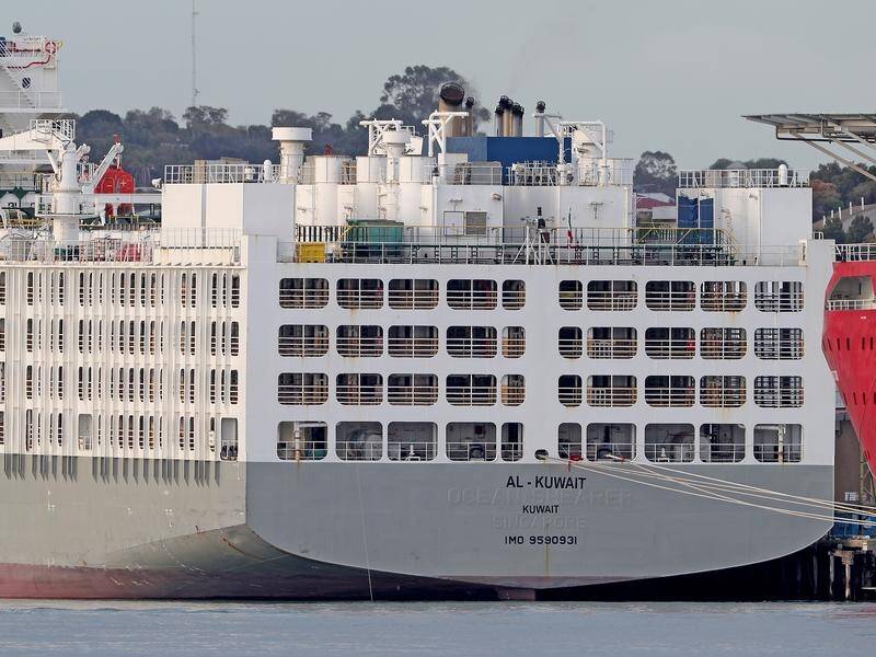 Crew members of the live sheep export ship Al-Kuwait have tested positive for coronavirus.