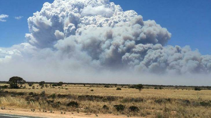 The smoke plume above the Eyre Highway fire.  Photo: DFES 