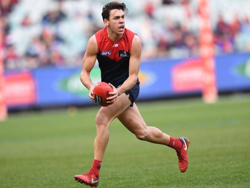 Demons defender Marty Hore will miss his second AFL season in a row due to injury.