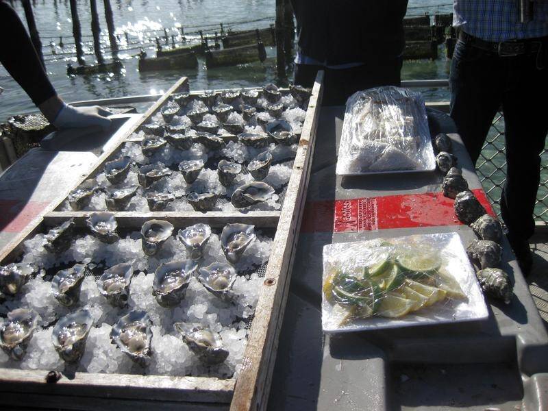 Production of Coffin Bay's famed oysters has been put on hold as a precaution.