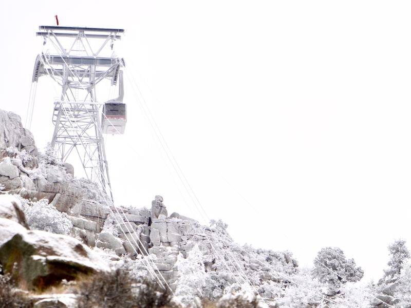 All 21 people who were trapped in New Mexico tramway overnight