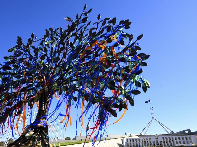 A tree sculpture to commemorate institutional child sex abuse victims has been unveiled in Canberra.