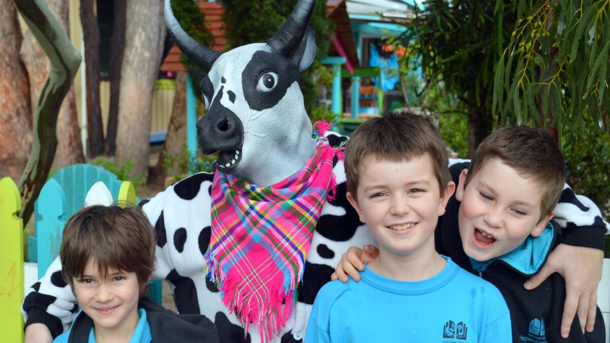 Bovine Boys: Oliver Dunn, Charlie Murray and Sholto Armstrong had a chat with Daisy the Cow.