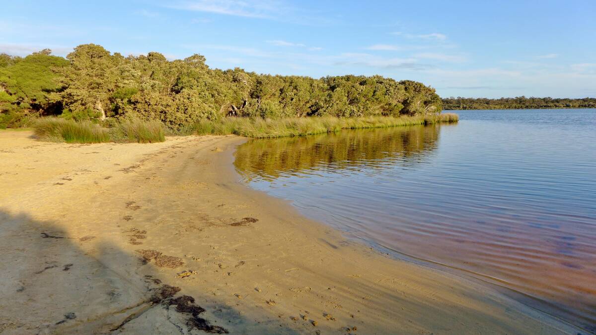 Estuary forums give catch-up on catchments