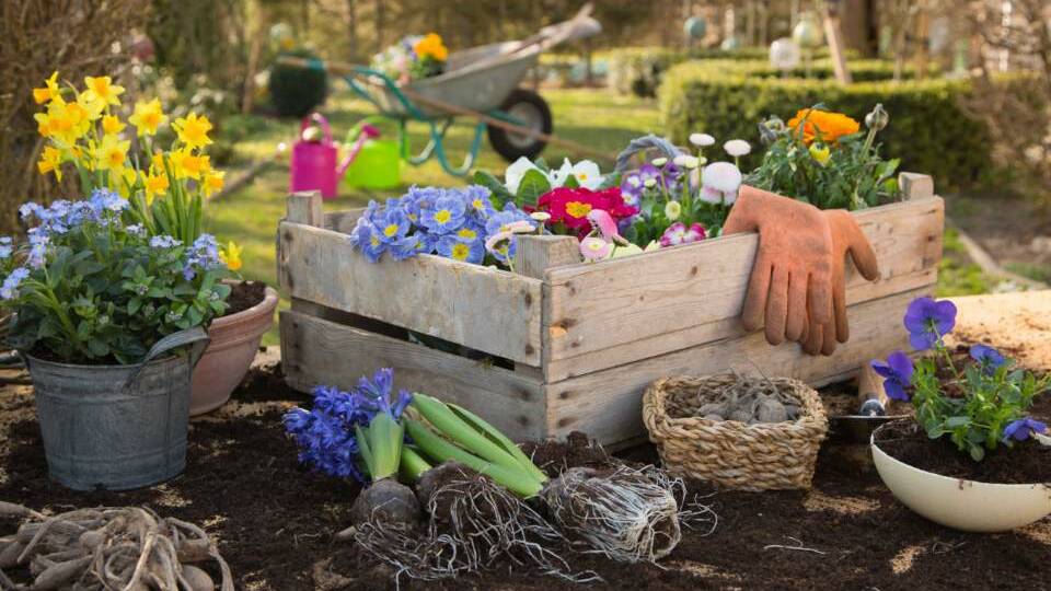 Third annual Spring Garden Market on this Sunday